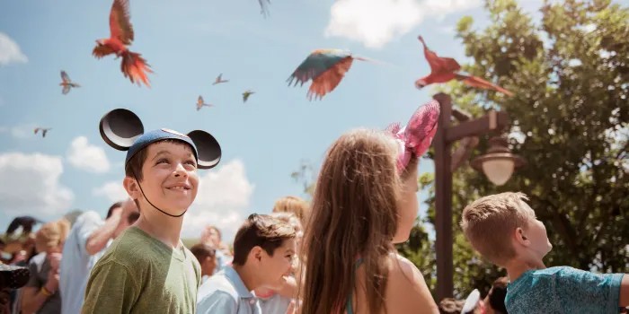 Walt Disney World Resort — Bay Lake, United States