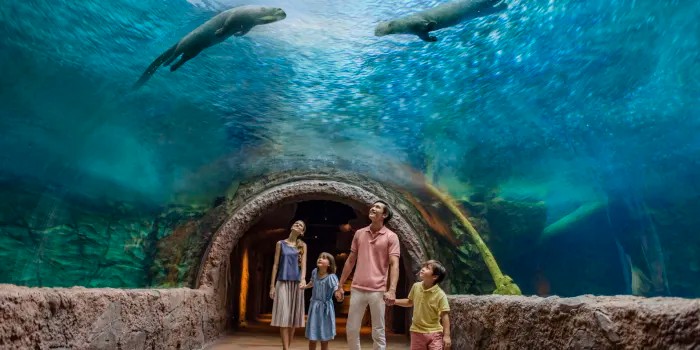 Mandai Wildlife Reserve — Singapore
